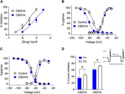 The anticonvulsant phytocannabinoids CBGVA and CBDVA inhibit recombinant T-type channels
